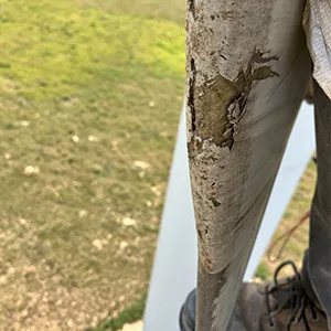 Leading Edge Erosion Damage wind turbine inspection